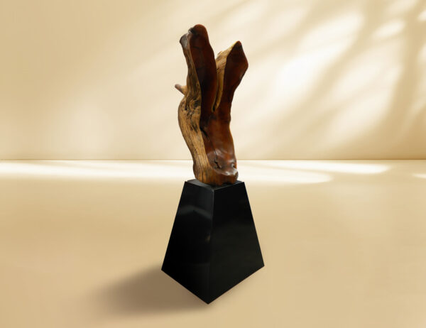 Escultura Orgánica de Raíz | Muebles de Interior y Arte Contemporáneo | Trike Interiorismo